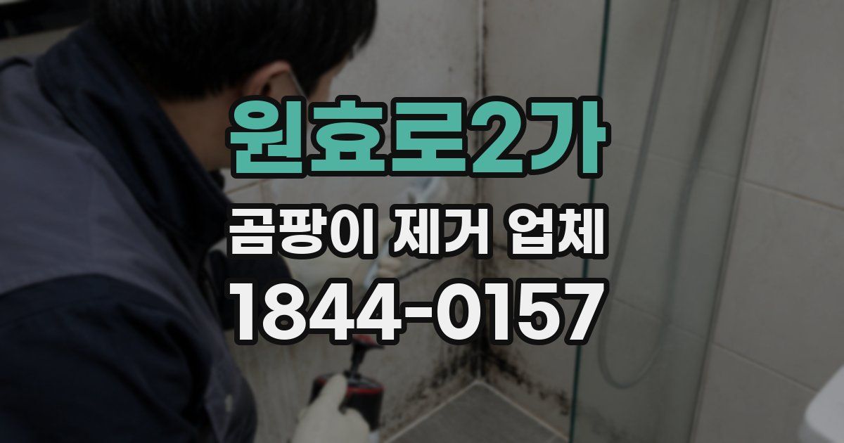 원효로2가 곰팡이 제거 업체