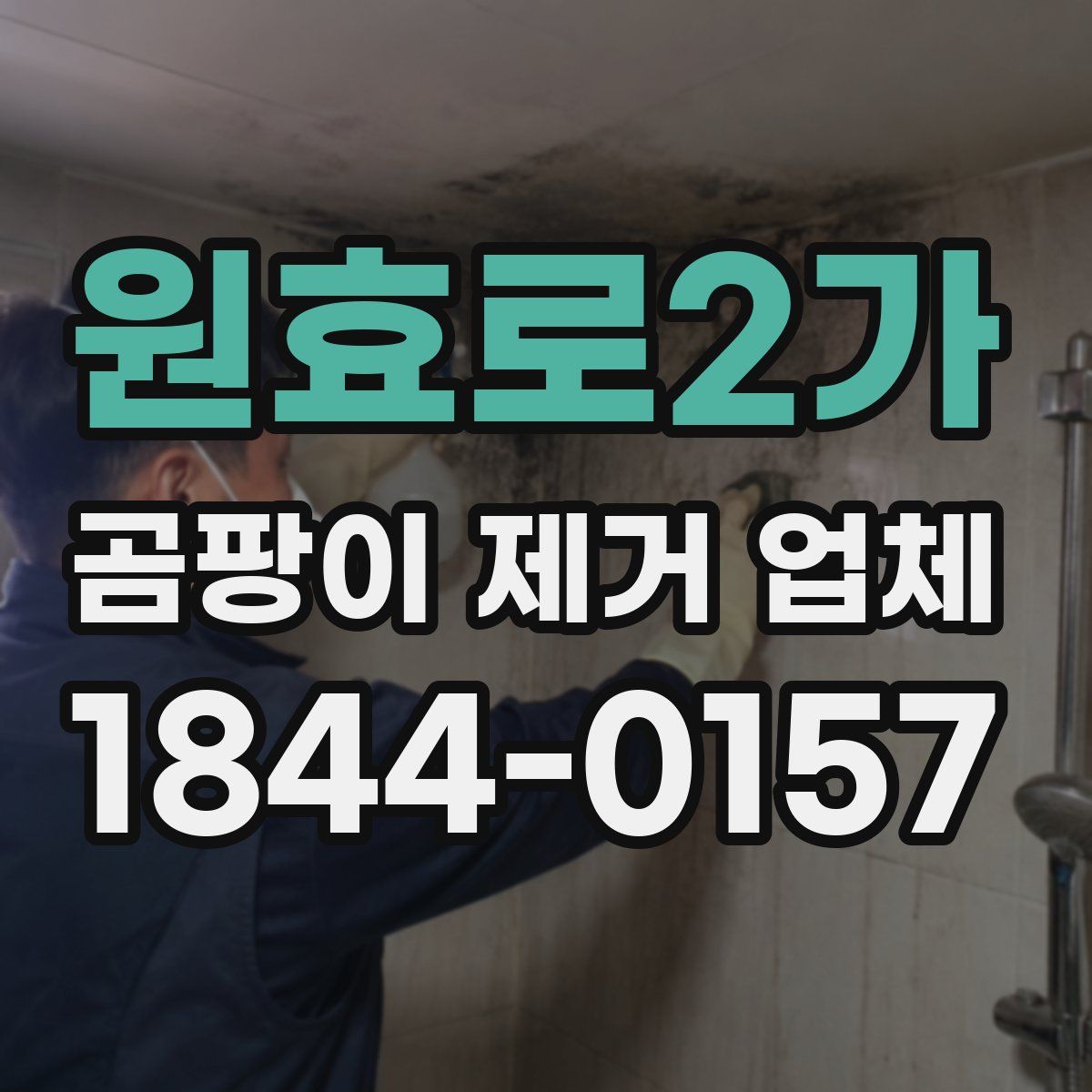 원효로2가 곰팡이 제거 업체