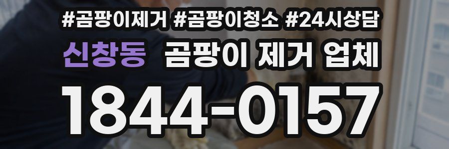신창동 곰팡이 제거 업체