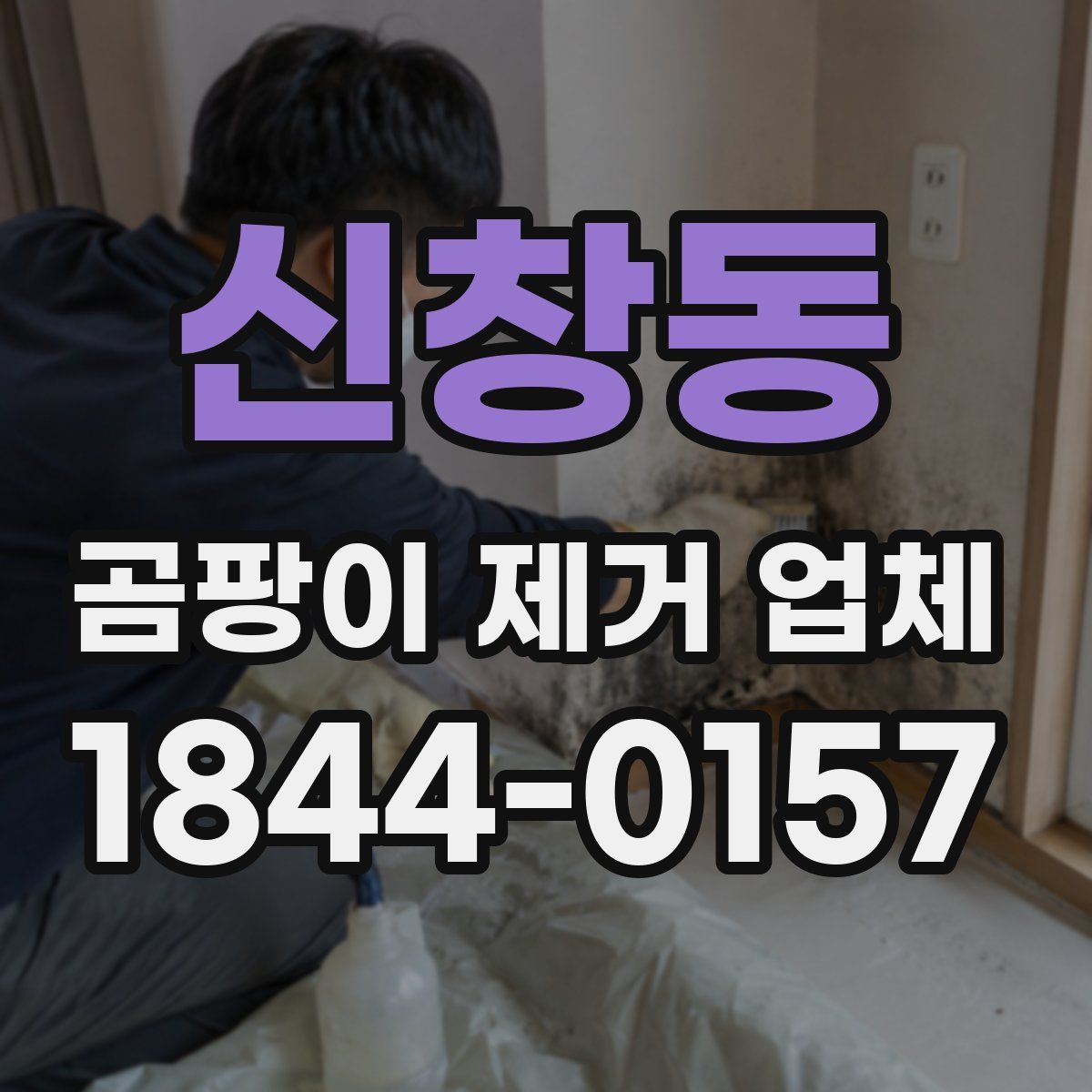 신창동 곰팡이 제거 업체