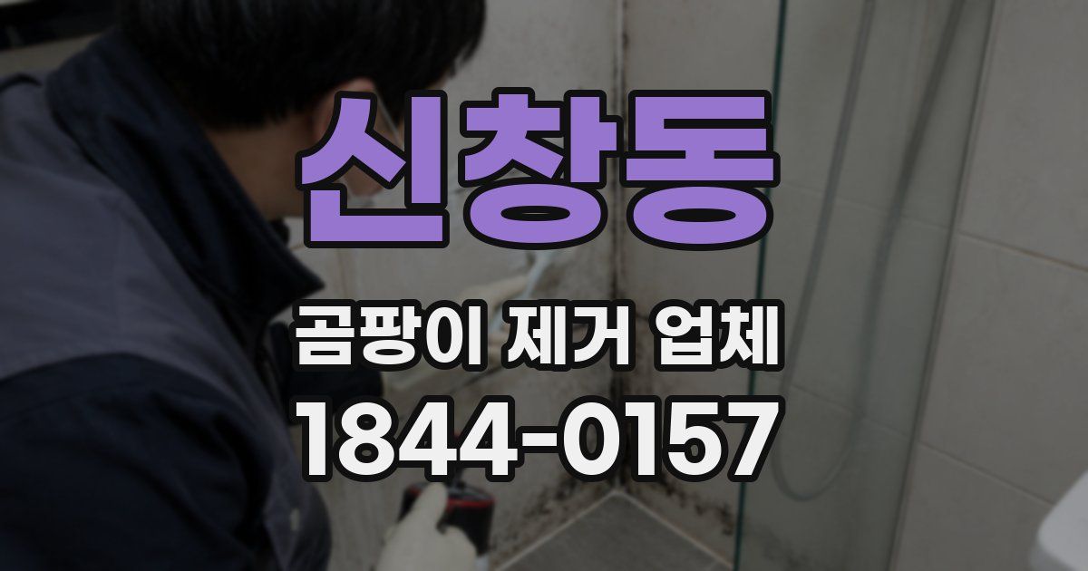 신창동 곰팡이 제거 업체