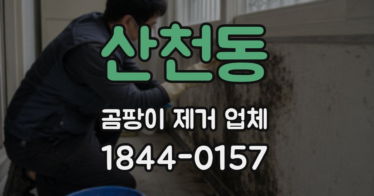 산천동 곰팡이 제거 업체