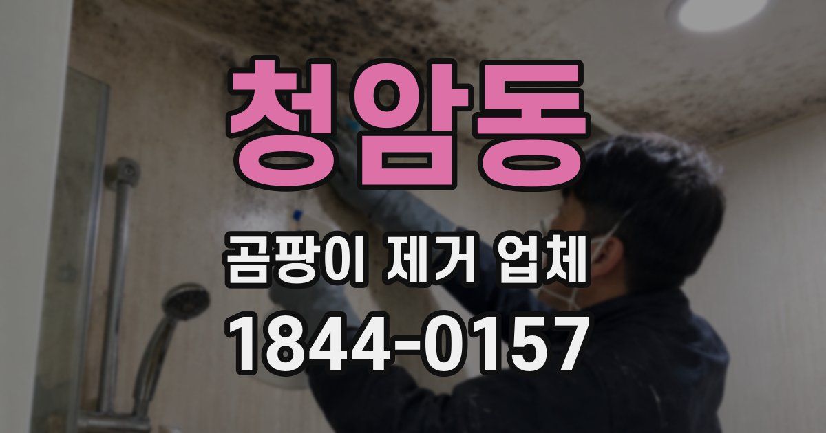 청암동 곰팡이 제거 업체