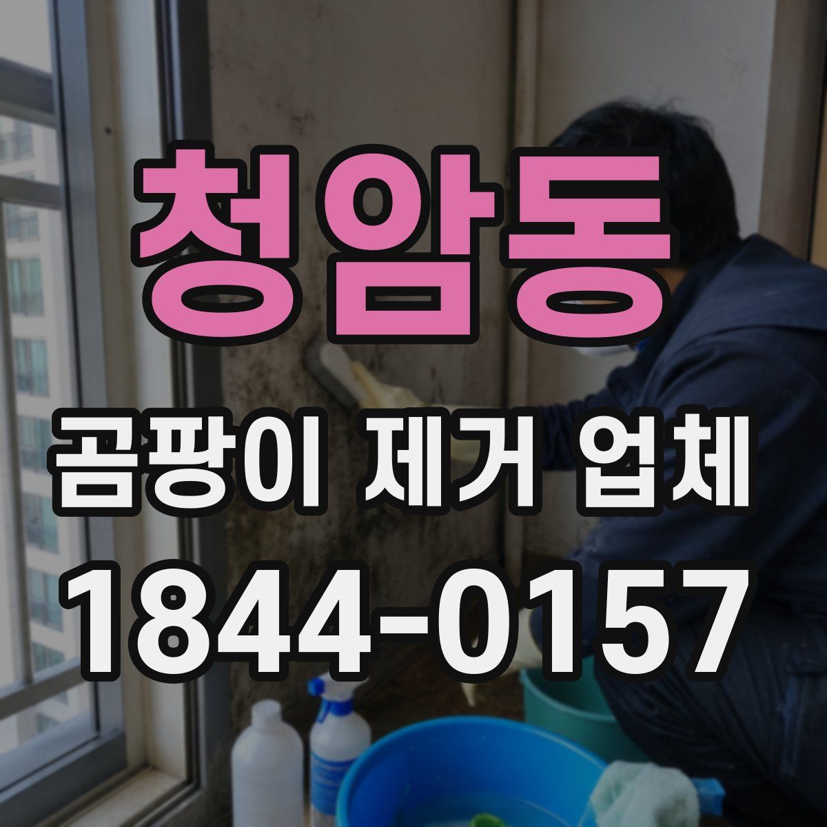 청암동 곰팡이 제거 업체