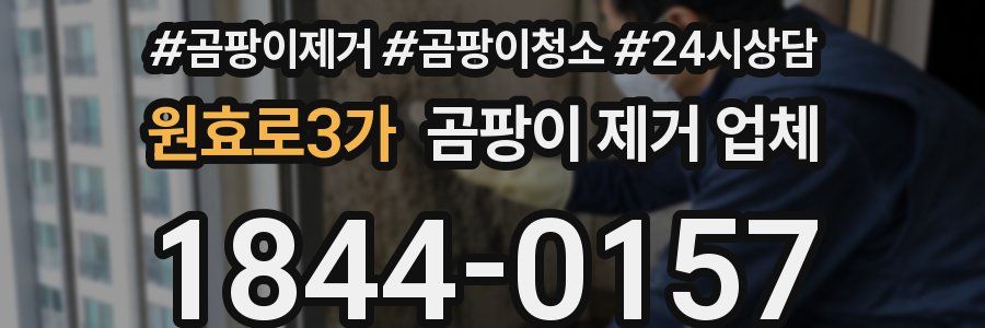 원효로3가 곰팡이 제거 업체