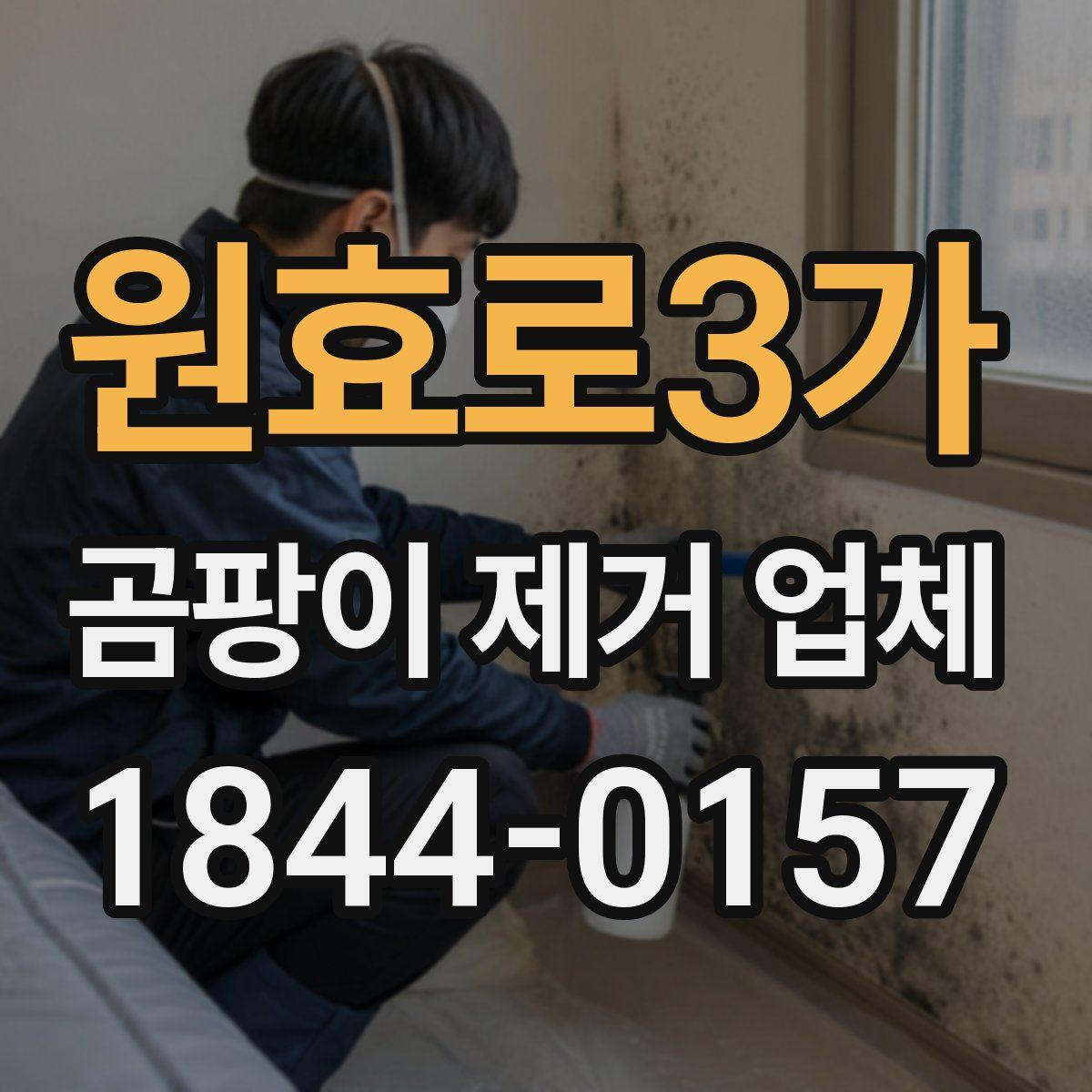 원효로3가 곰팡이 제거 업체