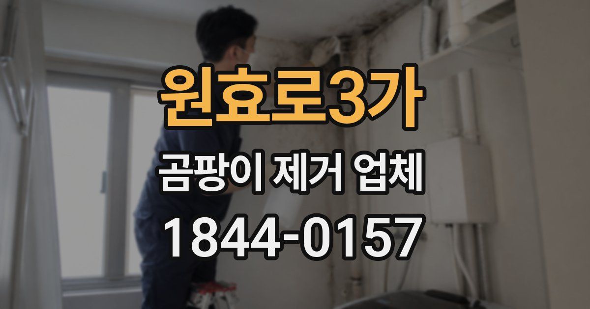 원효로3가 곰팡이 제거 업체