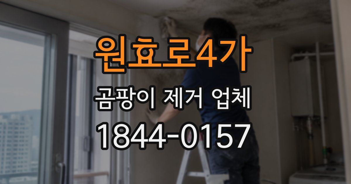 원효로4가 곰팡이 제거 업체