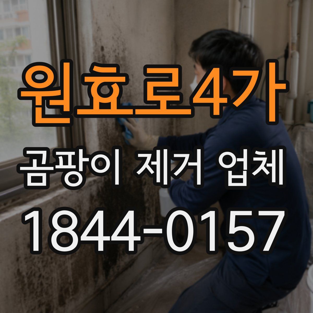 원효로4가 곰팡이 제거 업체