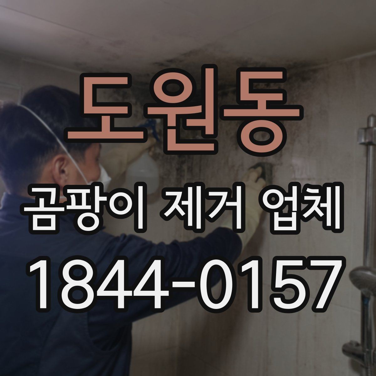 도원동 곰팡이 제거 업체 재발 원인부터 확인해야 하는 공간의 특징
