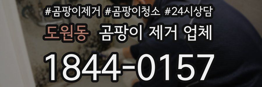 도원동 곰팡이 제거 업체