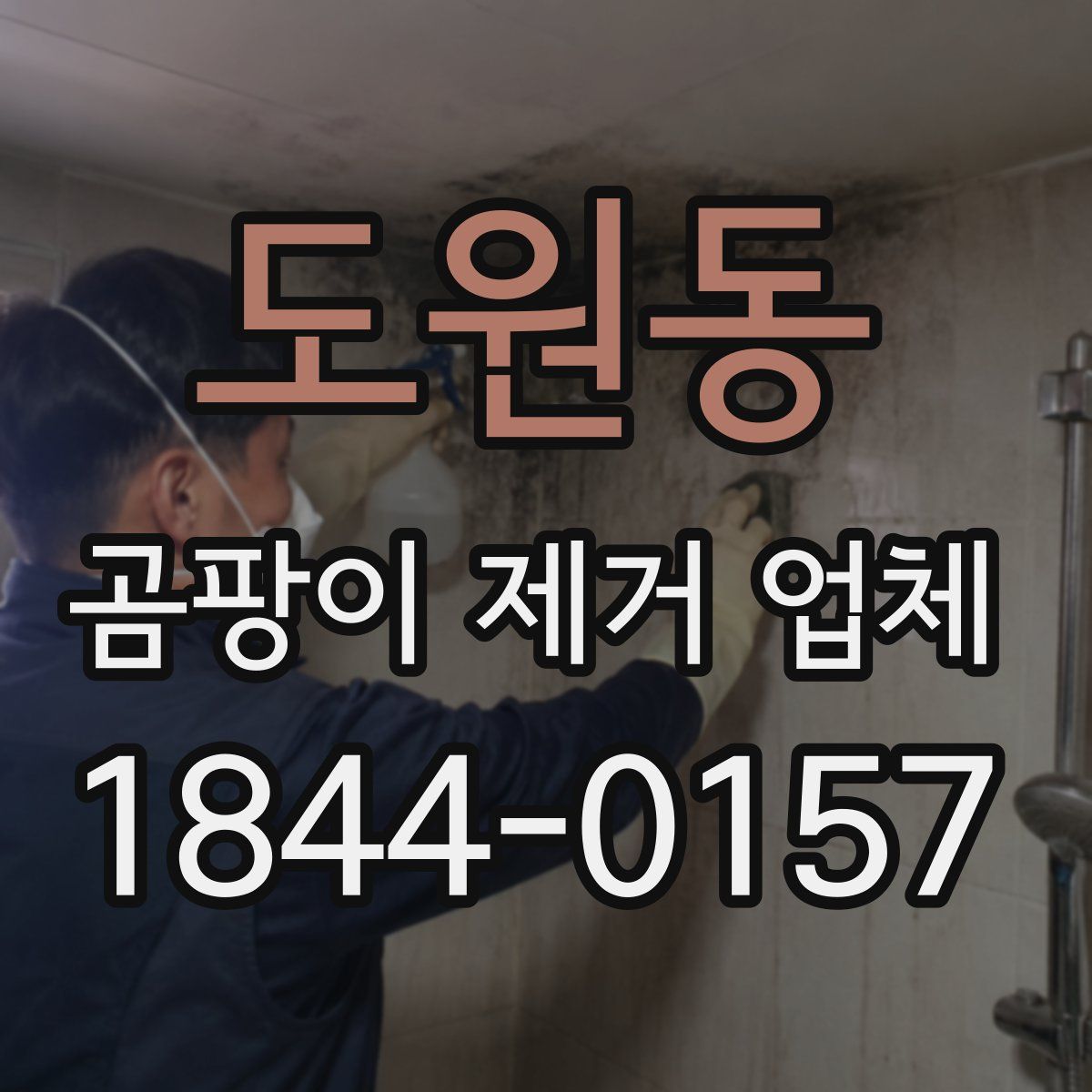 도원동 곰팡이 제거 업체
