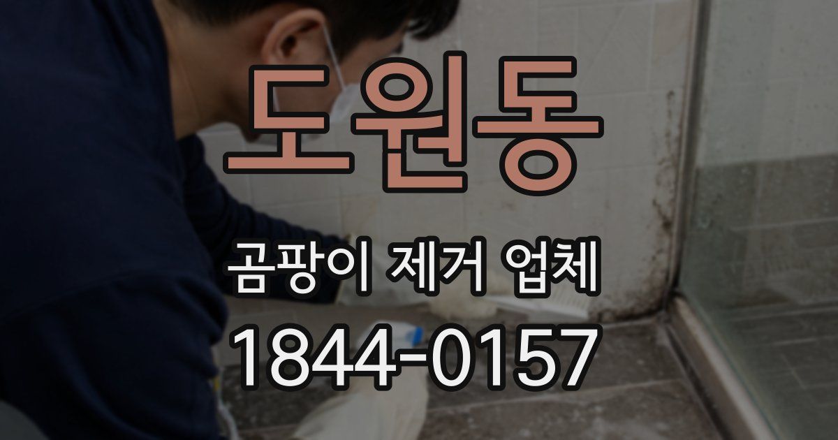 도원동 곰팡이 제거 업체