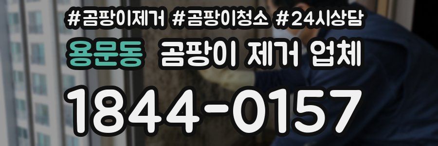 용문동 곰팡이 제거 업체