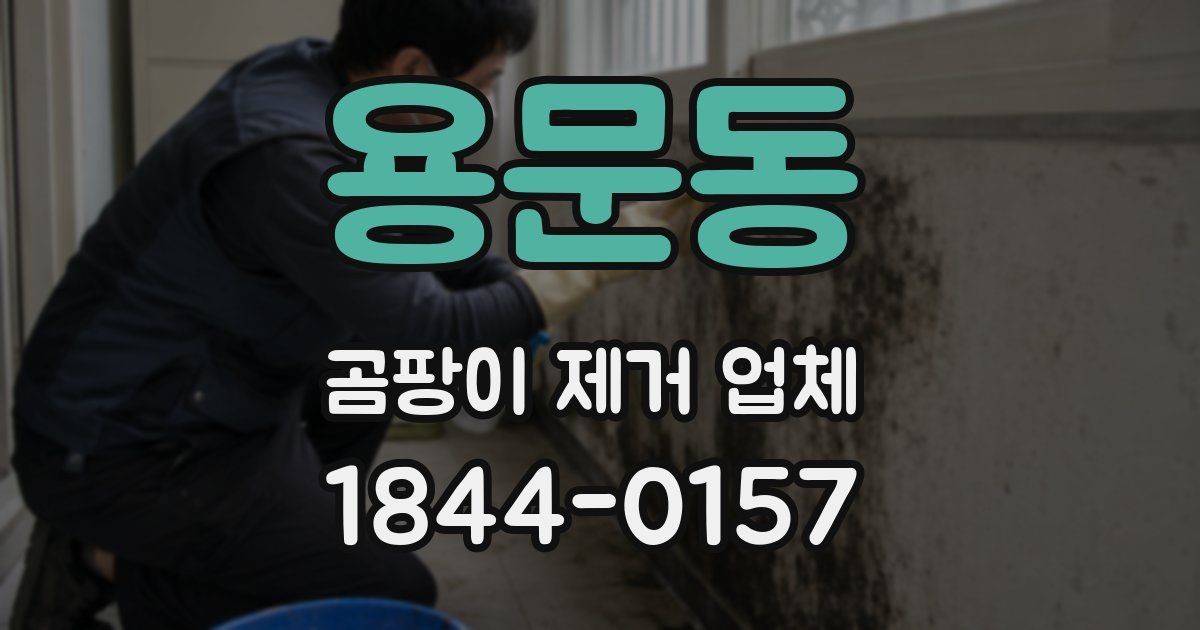 용문동 곰팡이 제거 업체