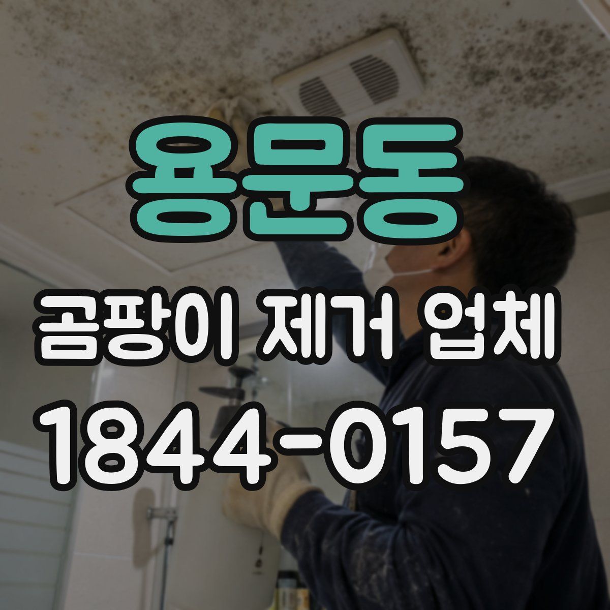 용문동 곰팡이 제거 업체
