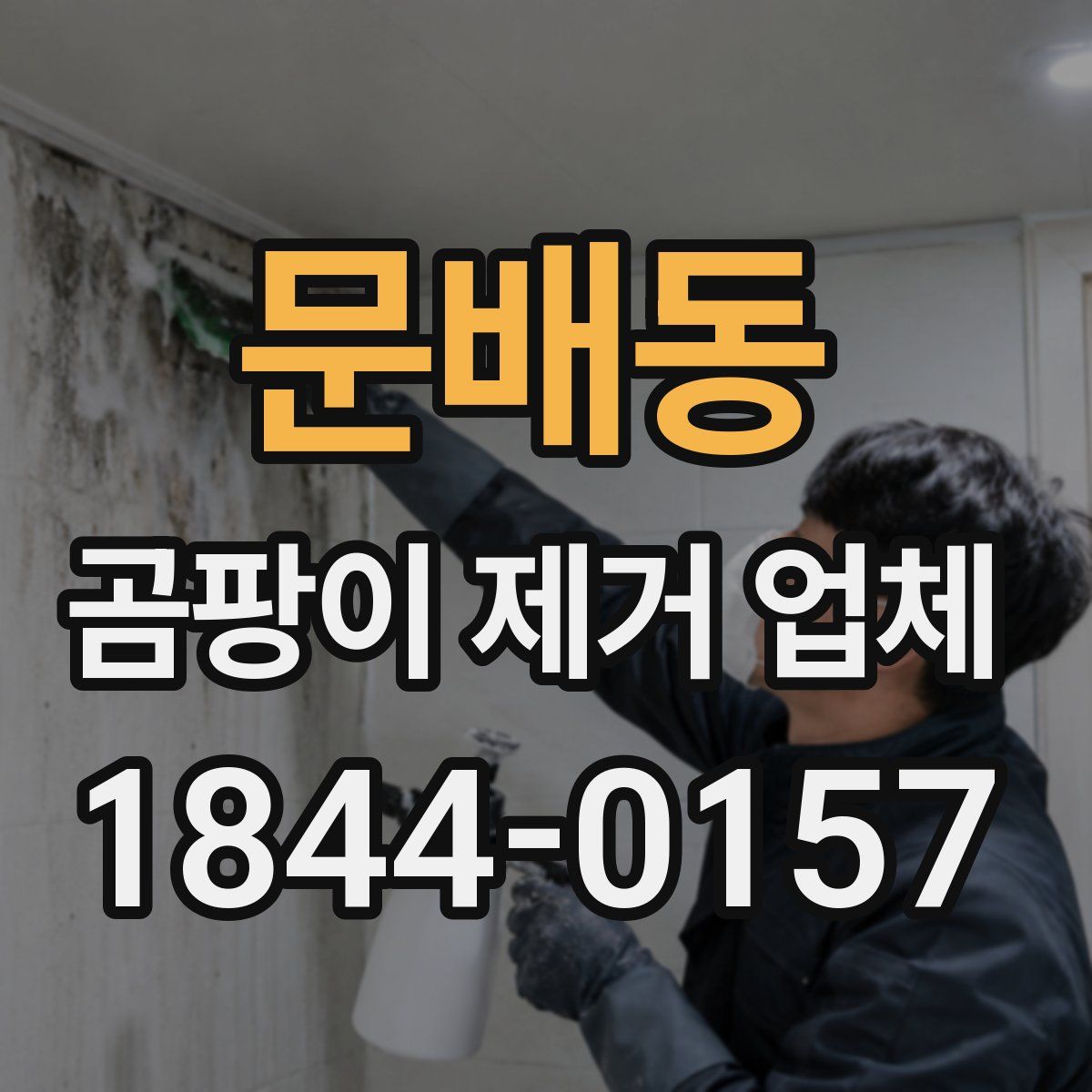 문배동 곰팡이 제거 업체