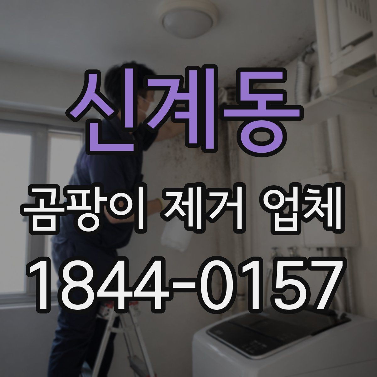 신계동 곰팡이 제거 업체 욕실 틈새와 창틀 구석을 함께 살피는 이유