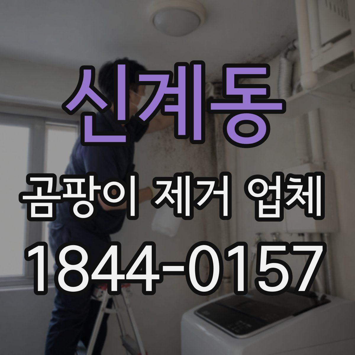 신계동 곰팡이 제거 업체