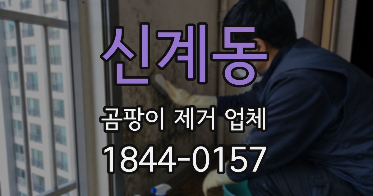 신계동 곰팡이 제거 업체