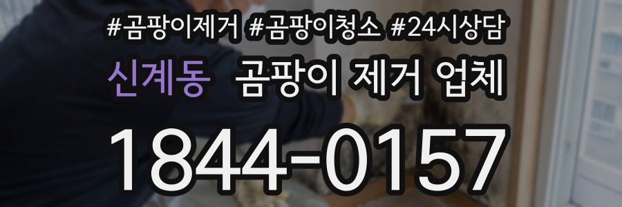 신계동 곰팡이 제거 업체