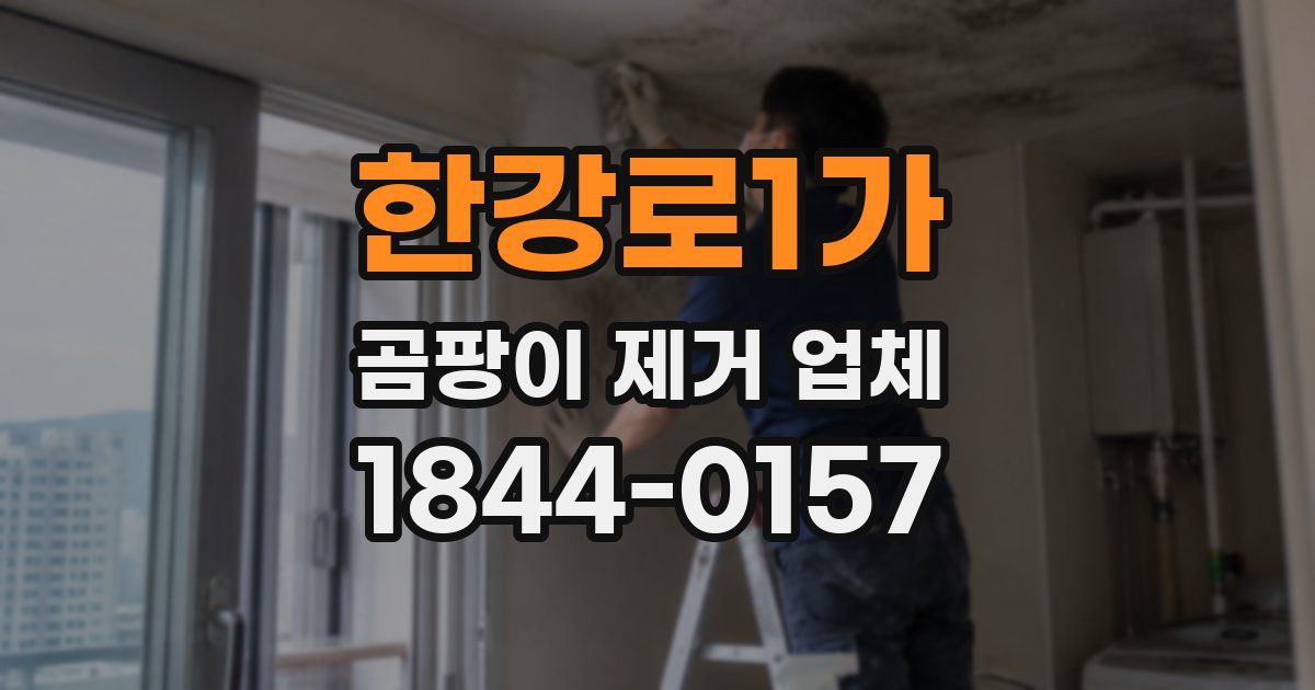한강로1가 곰팡이 제거 업체