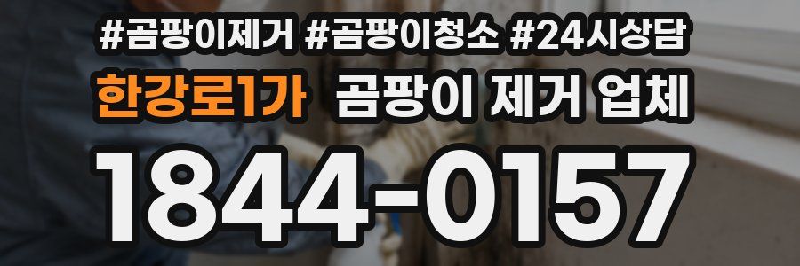 한강로1가 곰팡이 제거 업체