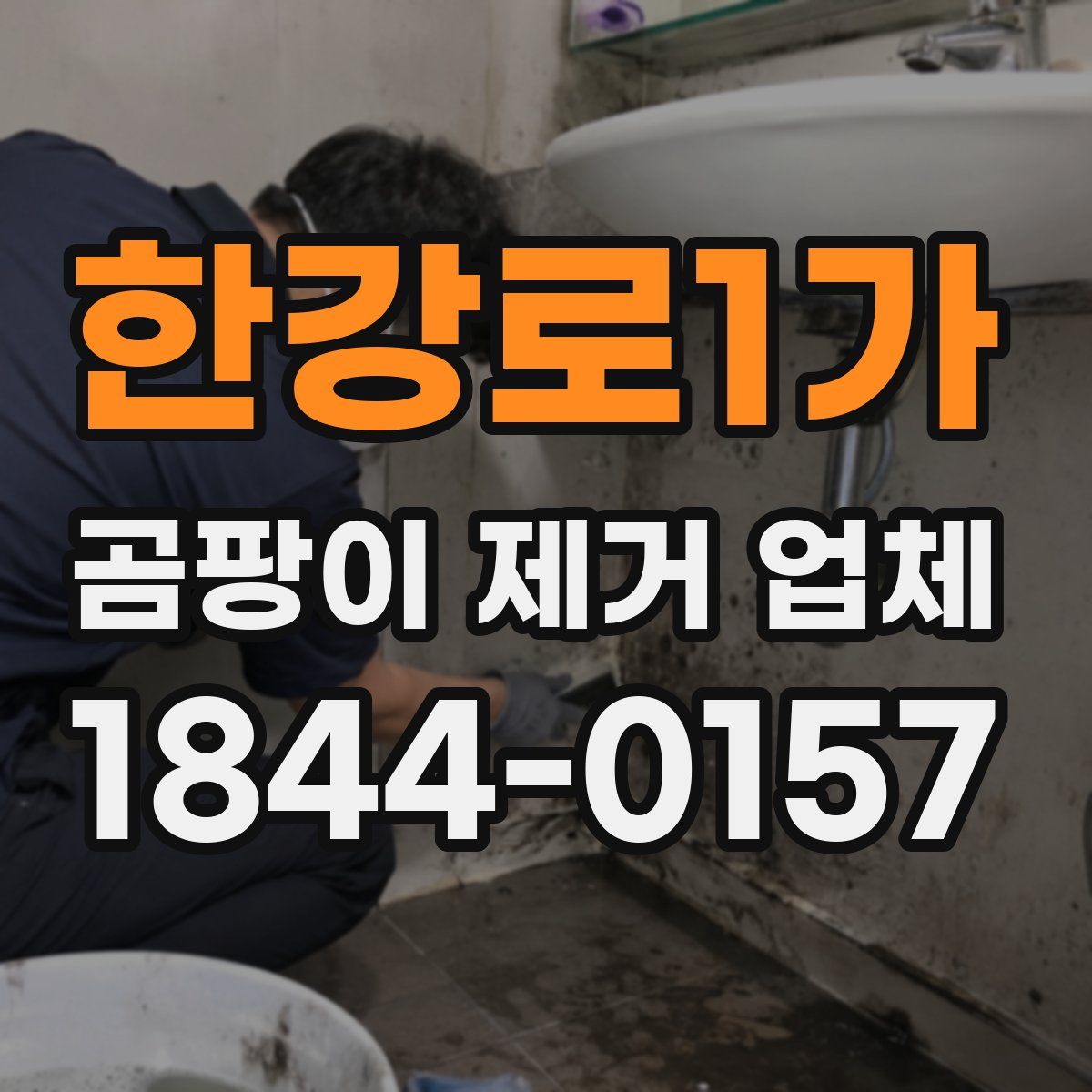 한강로1가 곰팡이 제거 업체