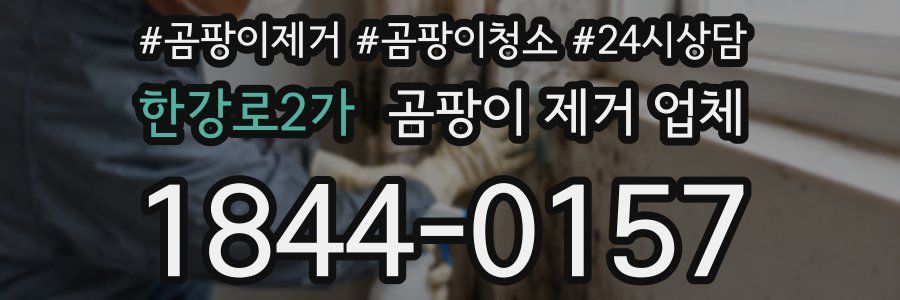 한강로2가 곰팡이 제거 업체