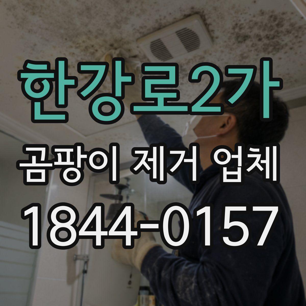 한강로2가 곰팡이 제거 업체