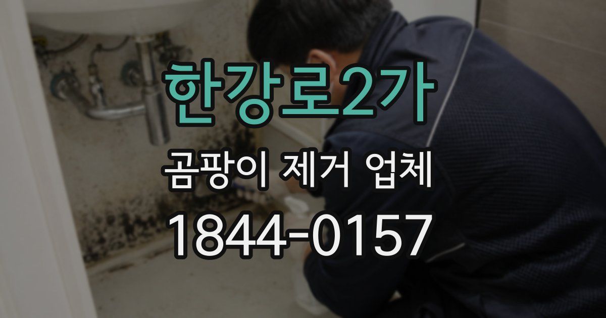 한강로2가 곰팡이 제거 업체