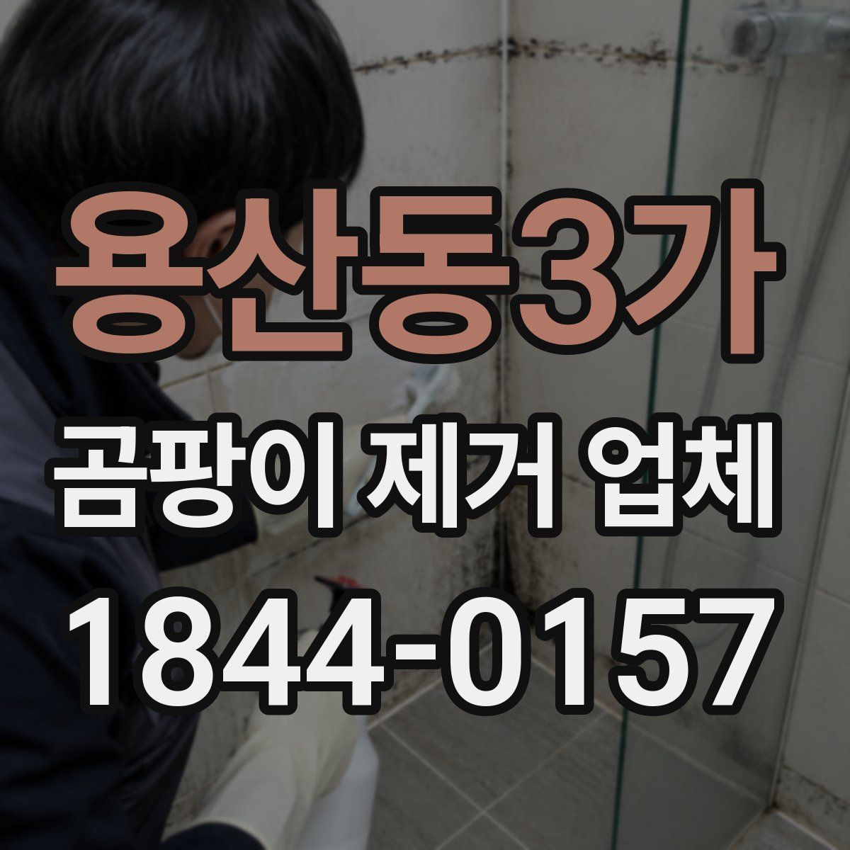 용산동3가 곰팡이 제거 업체