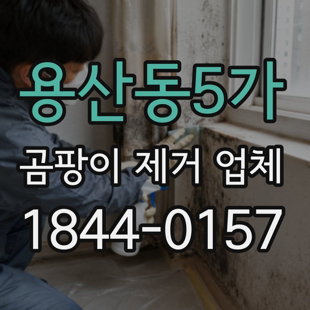 용산동5가 곰팡이 제거 업체