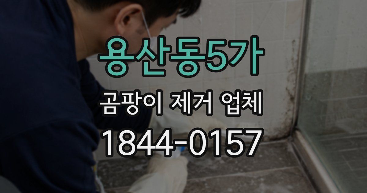 용산동5가 곰팡이 제거 업체