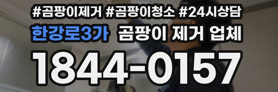한강로3가 곰팡이 제거 업체