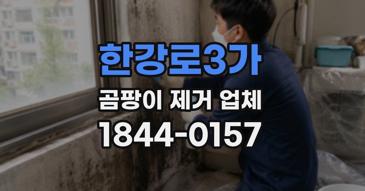 한강로3가 곰팡이 제거 업체