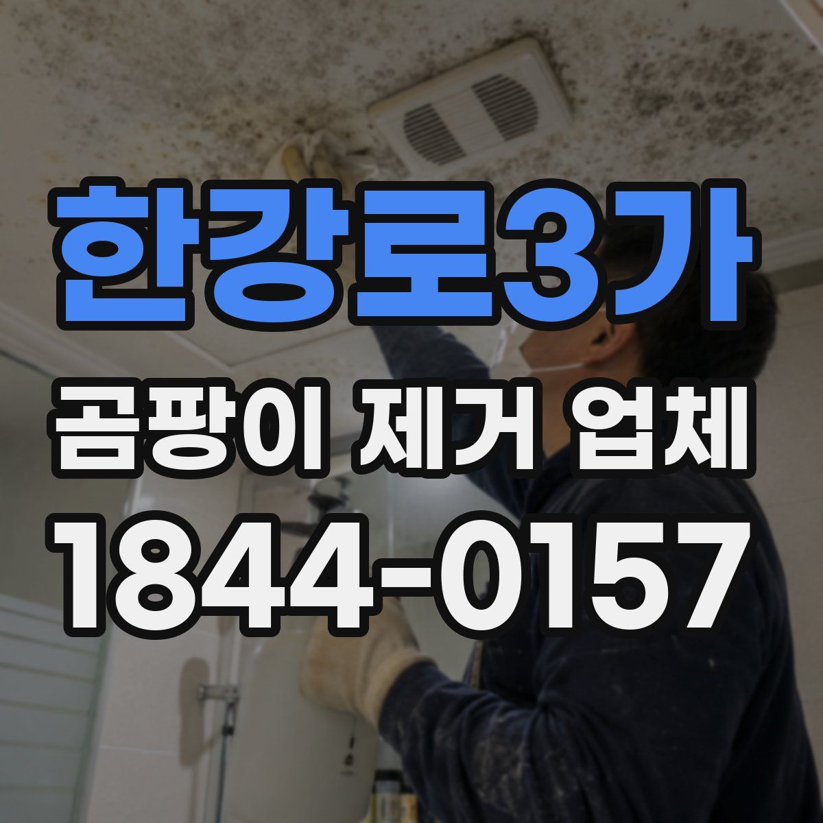 한강로3가 곰팡이 제거 업체
