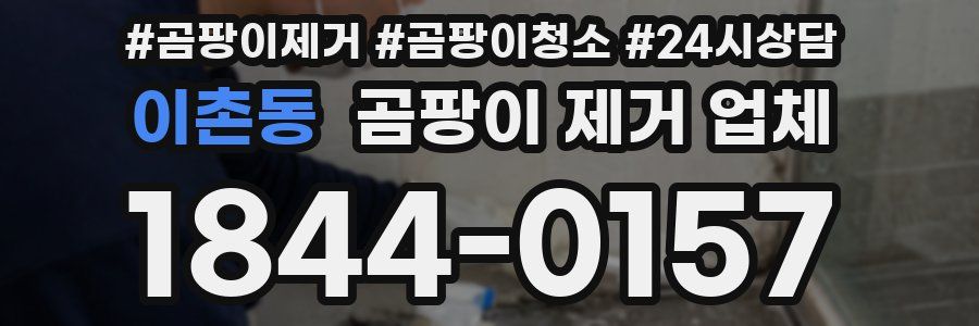 이촌동 곰팡이 제거 업체