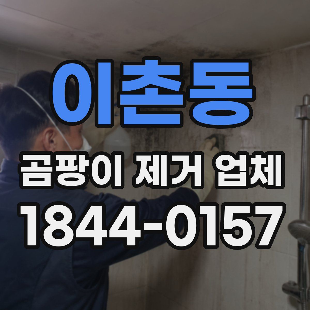 이촌동 곰팡이 제거 업체