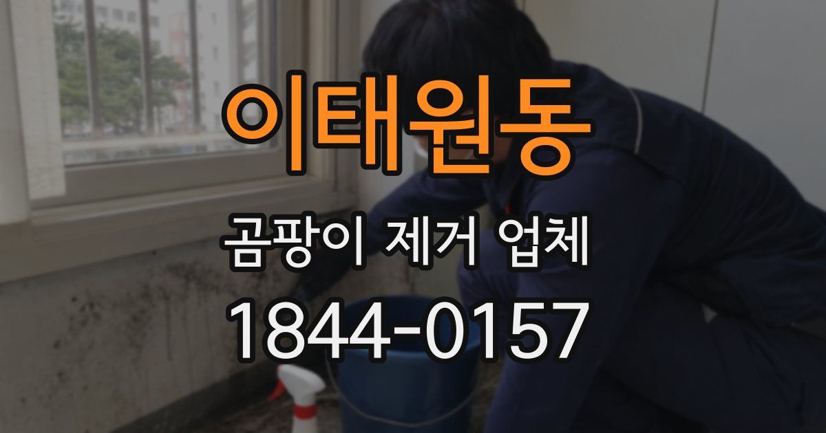 이태원동 곰팡이 제거 업체