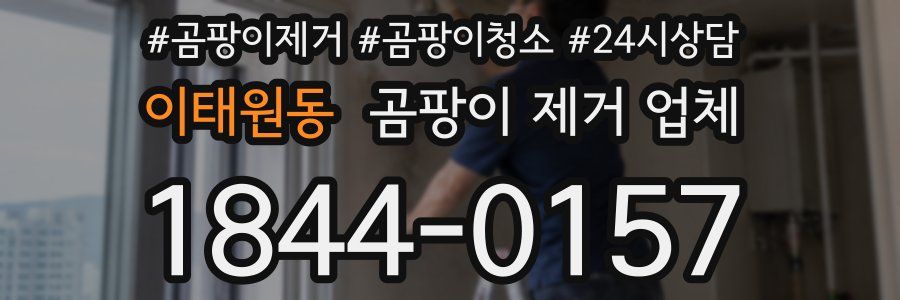 이태원동 곰팡이 제거 업체