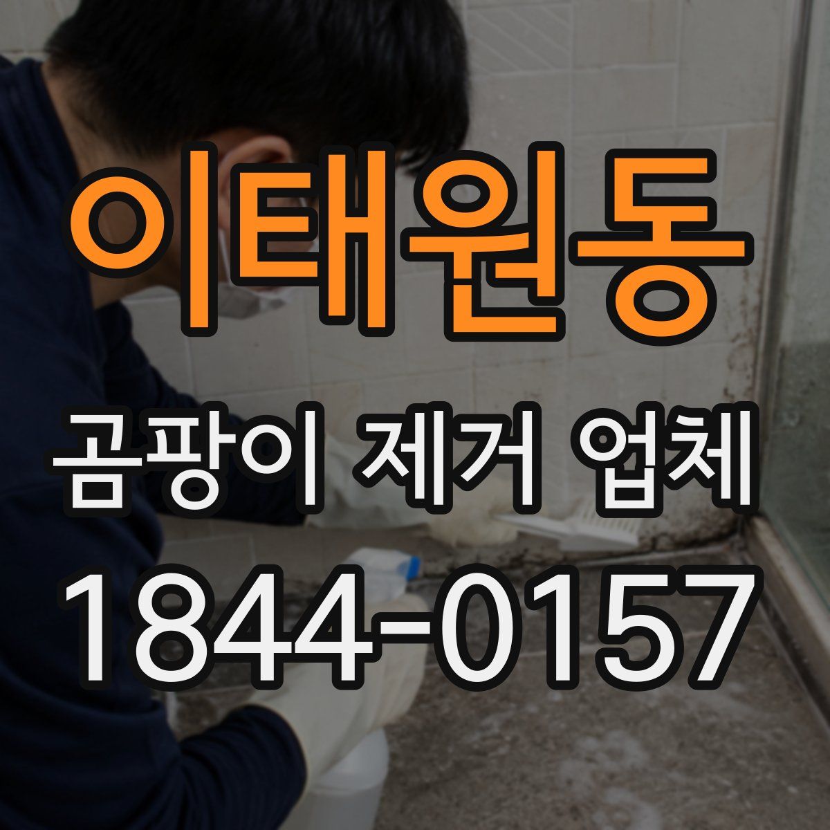 이태원동 곰팡이 제거 업체