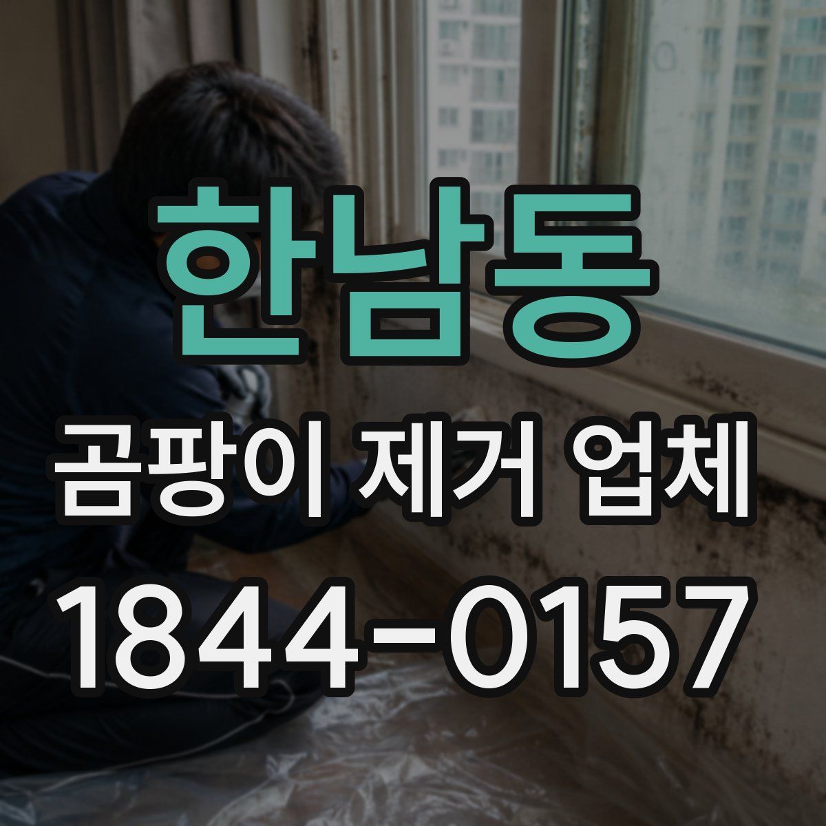 한남동 곰팡이 제거 업체