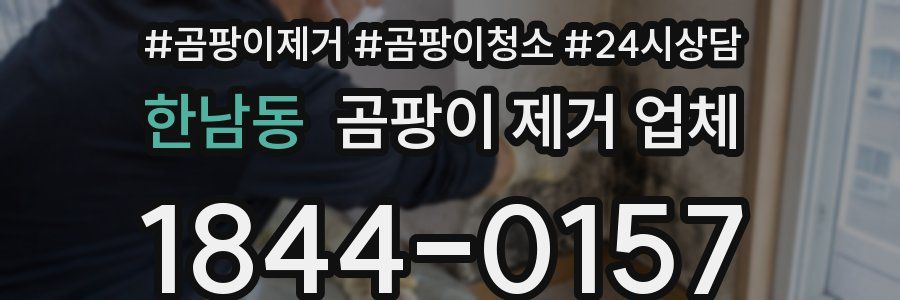 한남동 곰팡이 제거 업체
