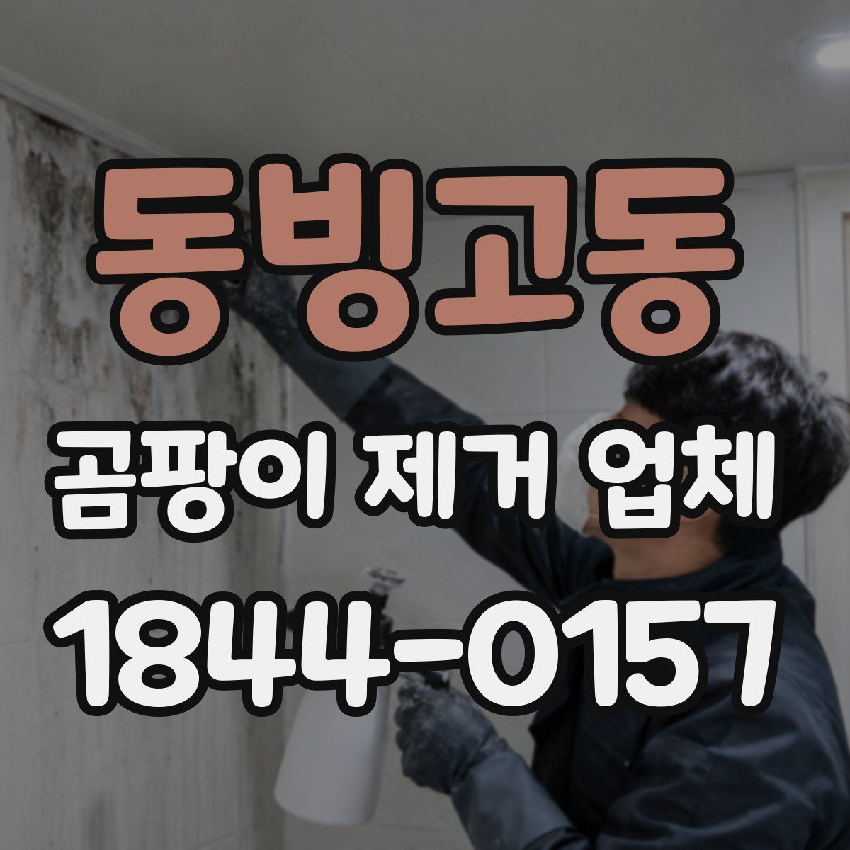 동빙고동 곰팡이 제거 업체