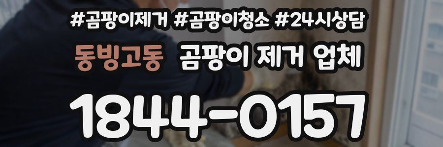 동빙고동 곰팡이 제거 업체