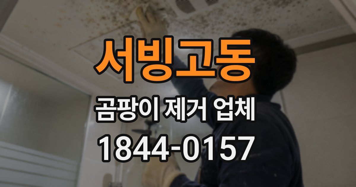서빙고동 곰팡이 제거 업체