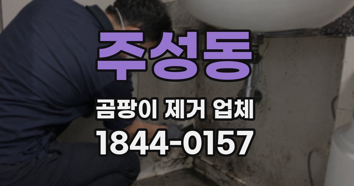 주성동 곰팡이 제거 업체