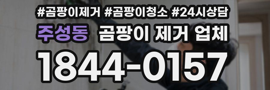 주성동 곰팡이 제거 업체