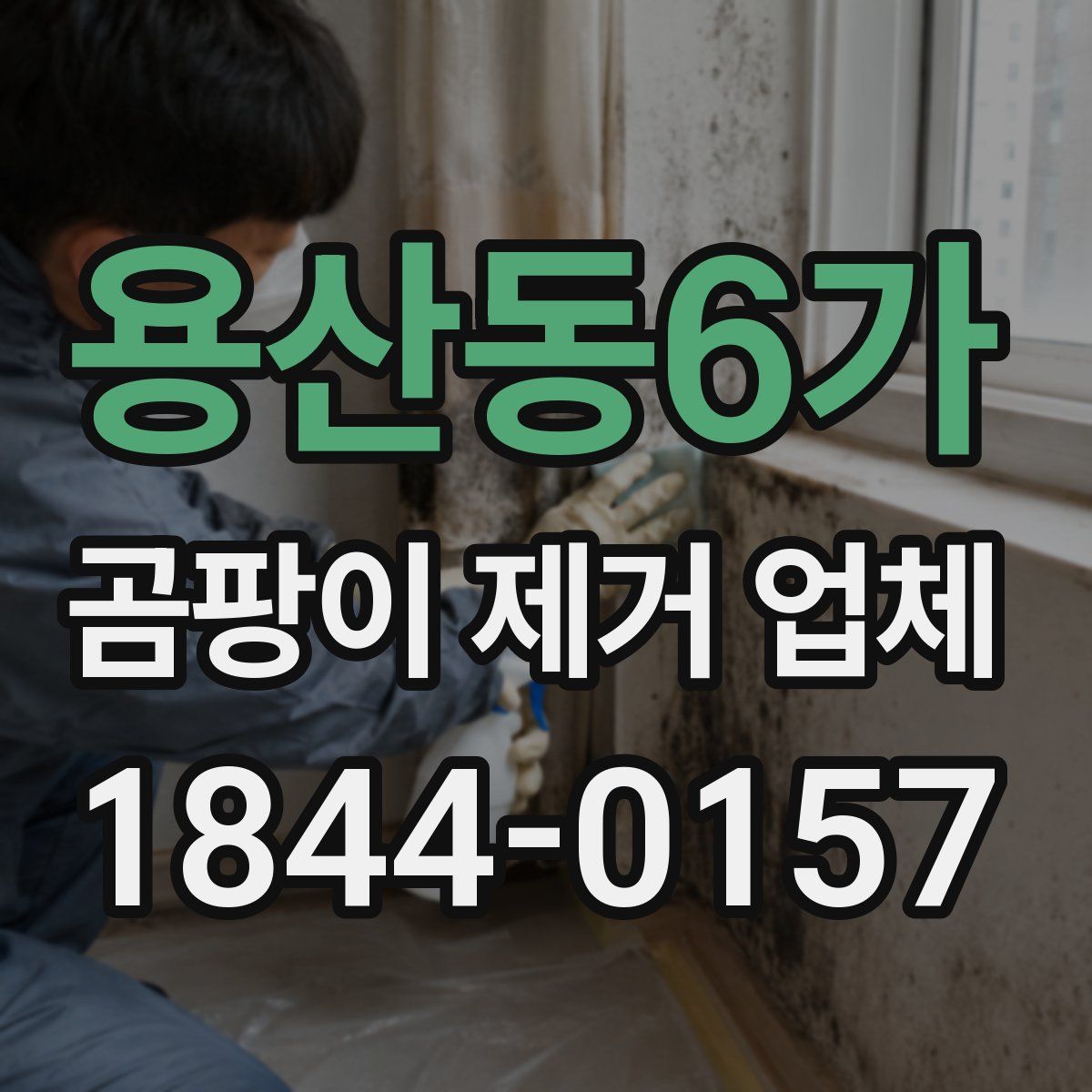 용산동6가 곰팡이 제거 업체